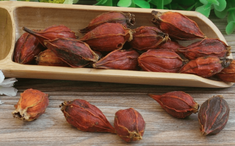 梔子黃色素通常應(yīng)用在哪些食品上？